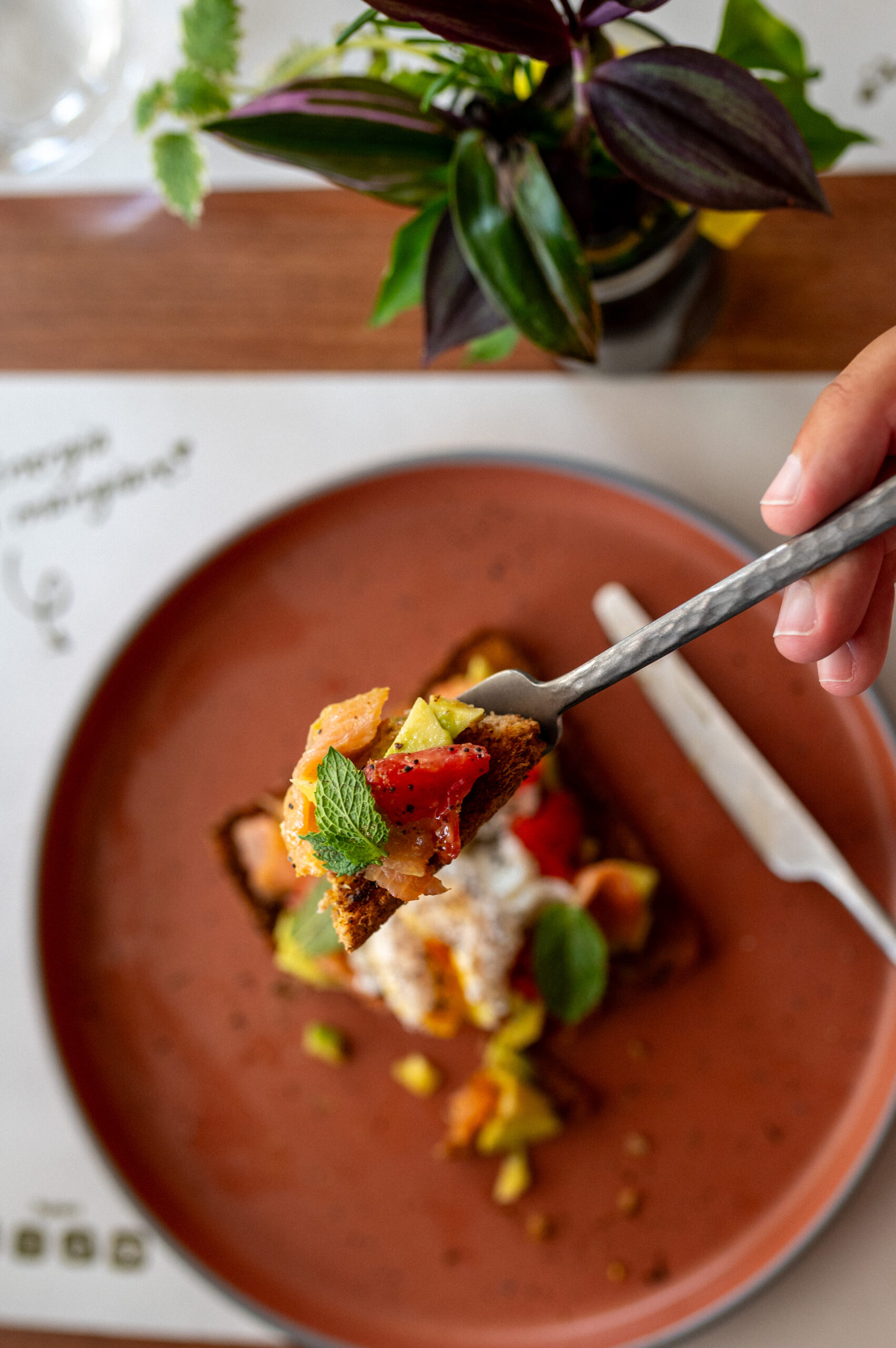 ANT_5981